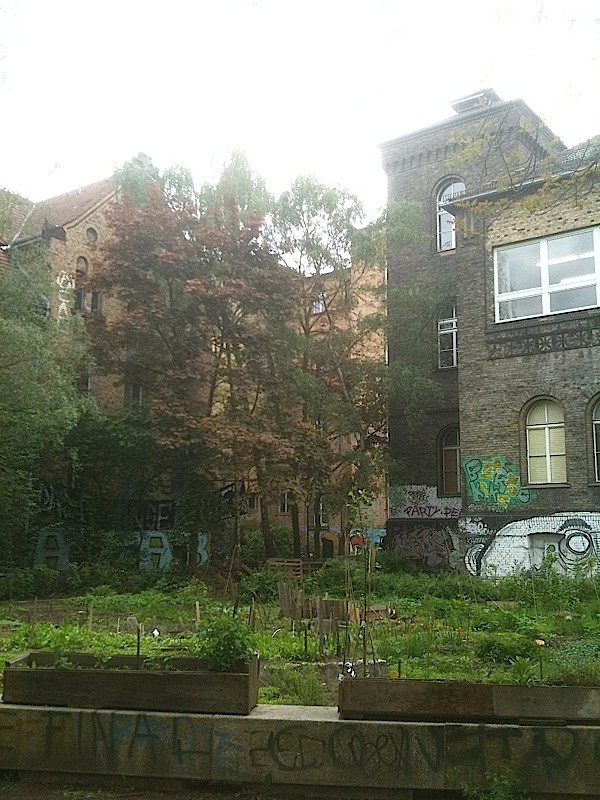 Rauch Haus, le potager, Berlin 2012